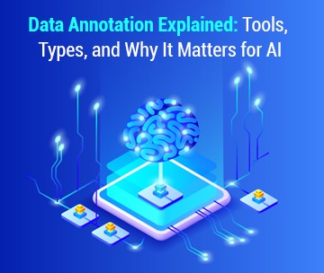 Data Annotation Explained: Tools, Types, and Why It is Important for AI